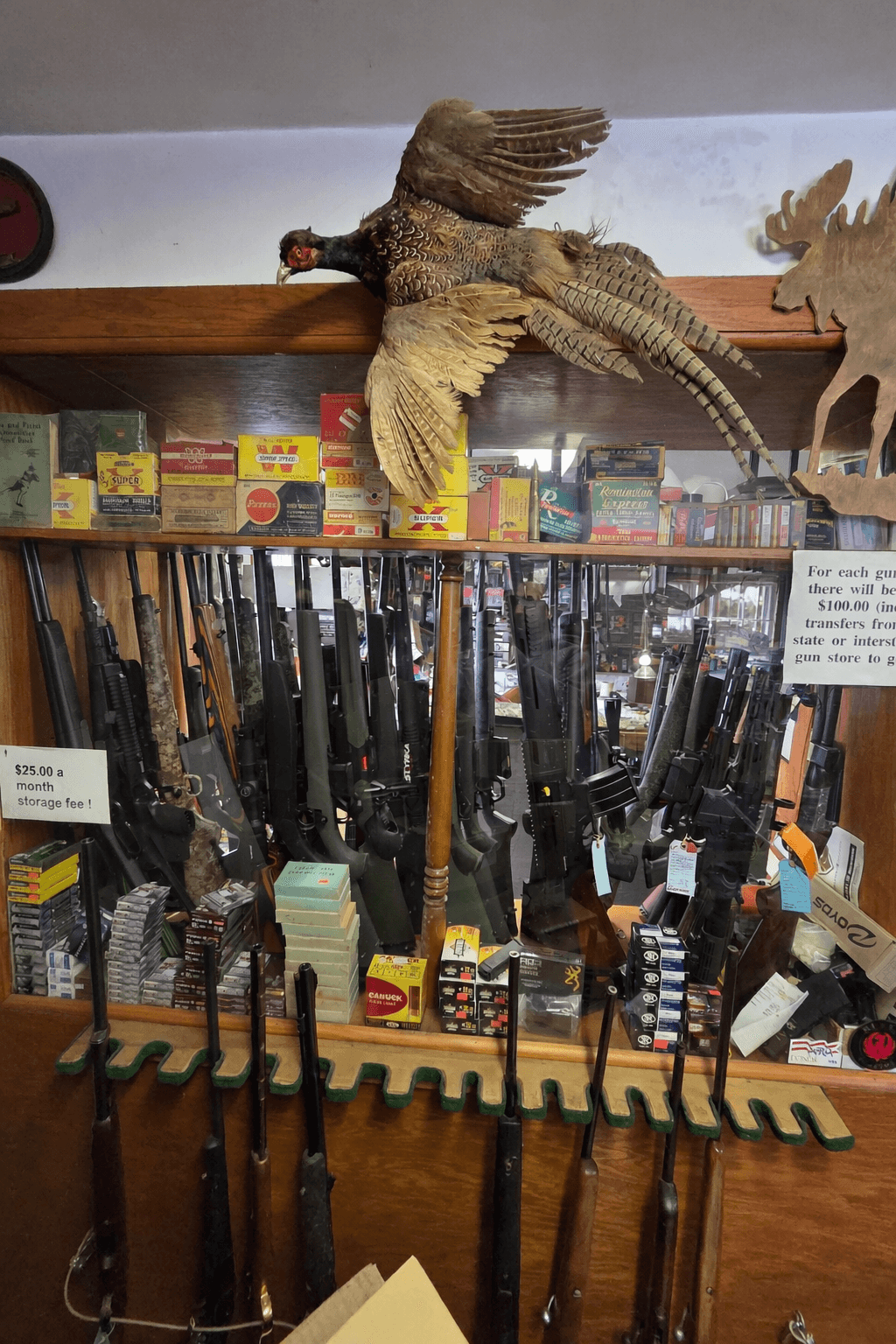 Inside the shop — retail firearms area